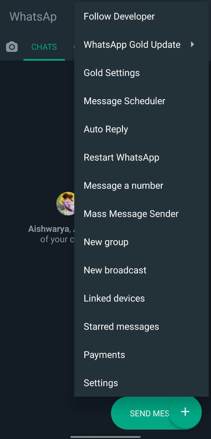 Screenshot WhatsApp Gold APK v44.10