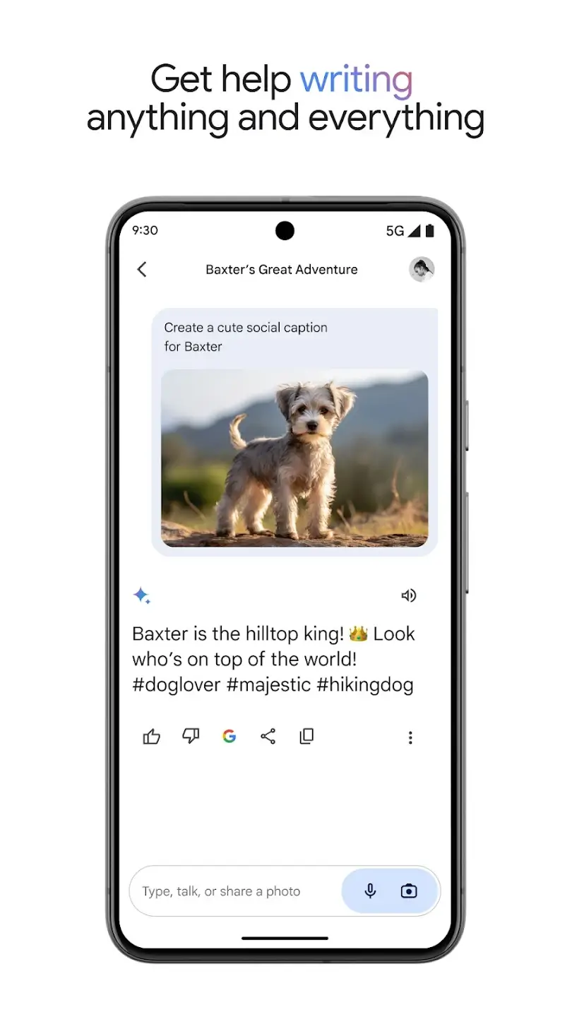 Screenshot Gemini APK