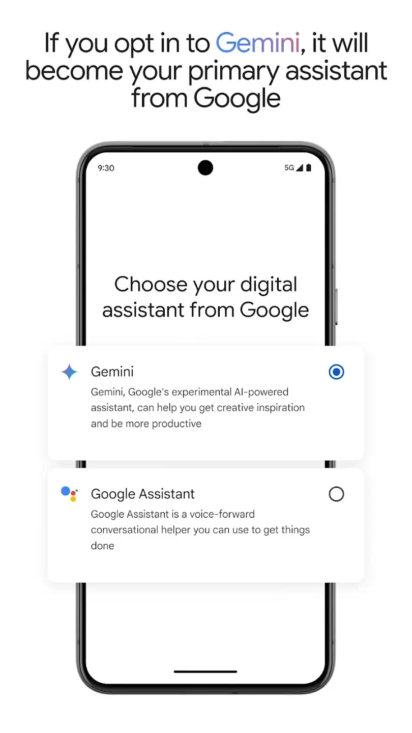 Screenshot Gemini APK