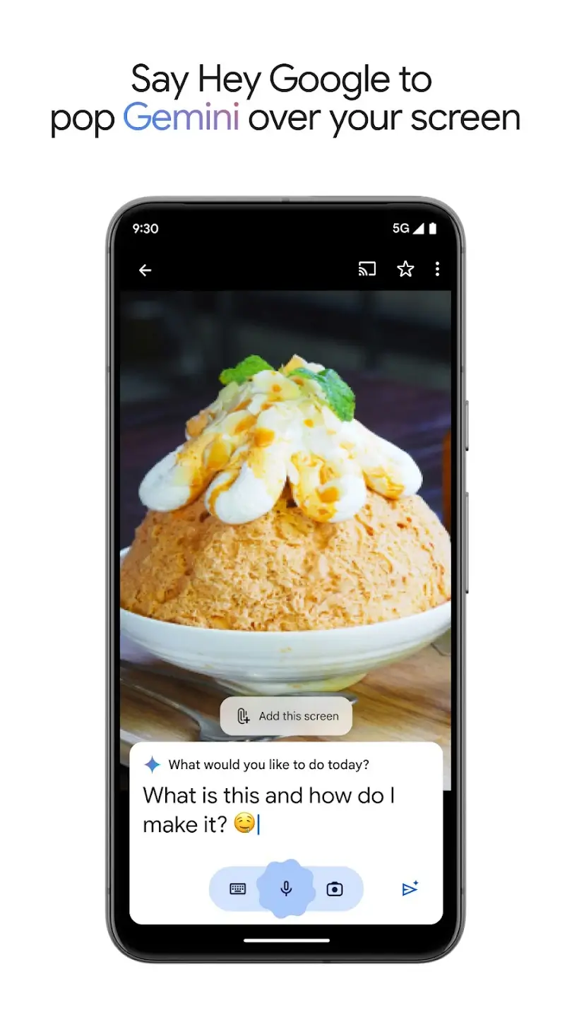 Screenshot Gemini APK