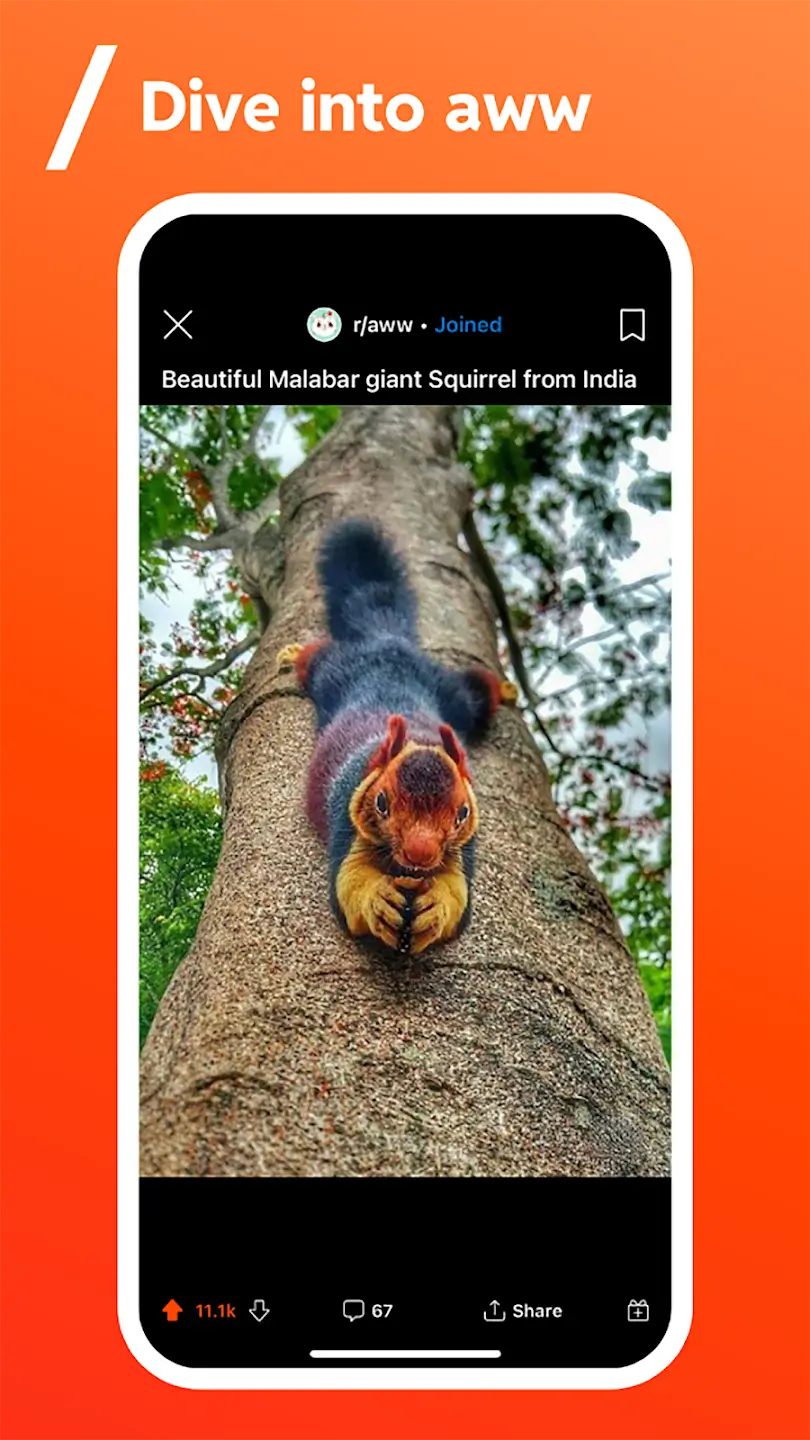 Screenshot Reddit APK v2026.18.0